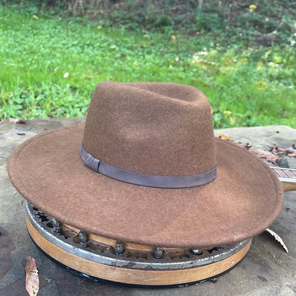 Brown felt fedora